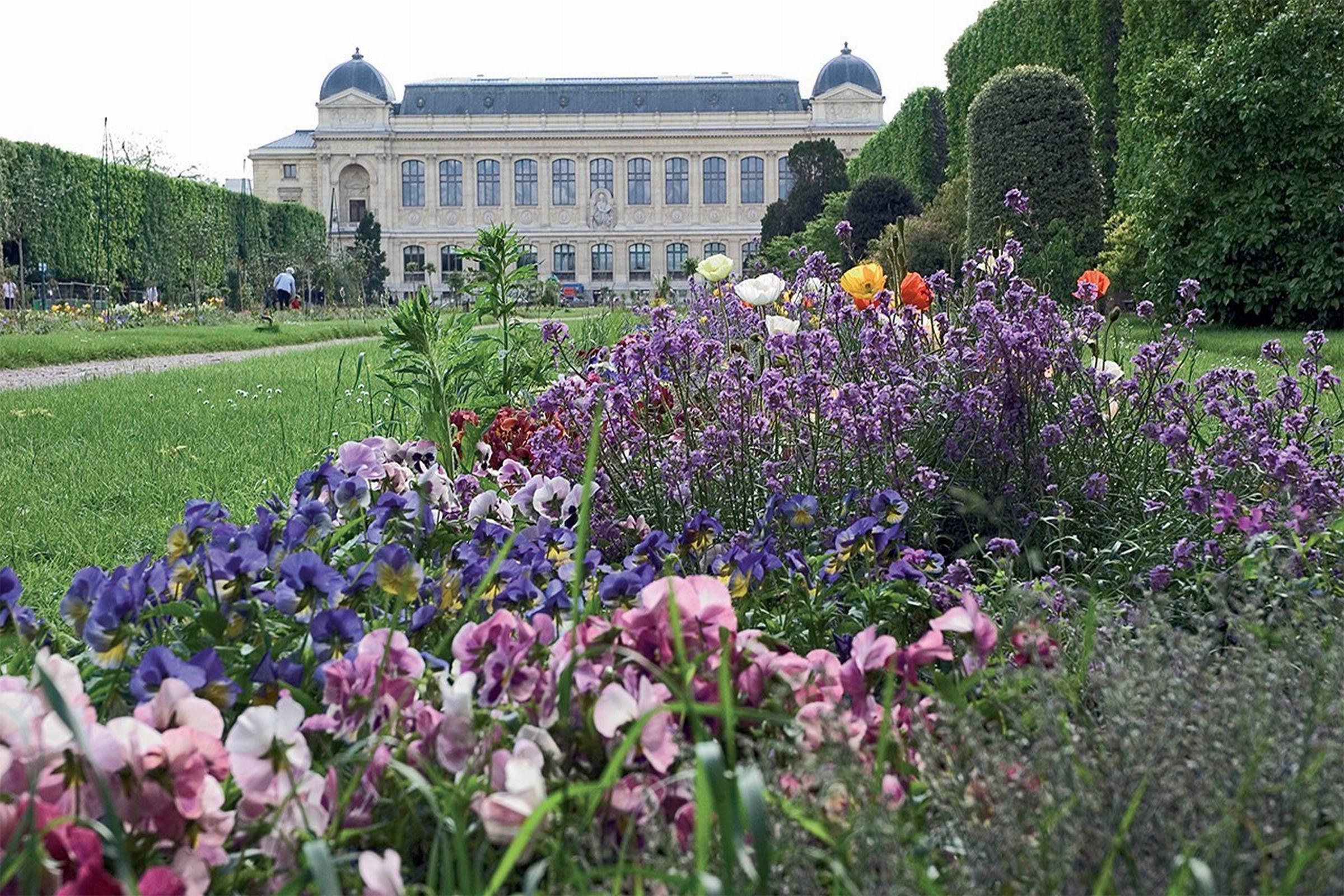 Libertel Austerlitz Jardin Des Plantes Hotel Paris Luaran gambar